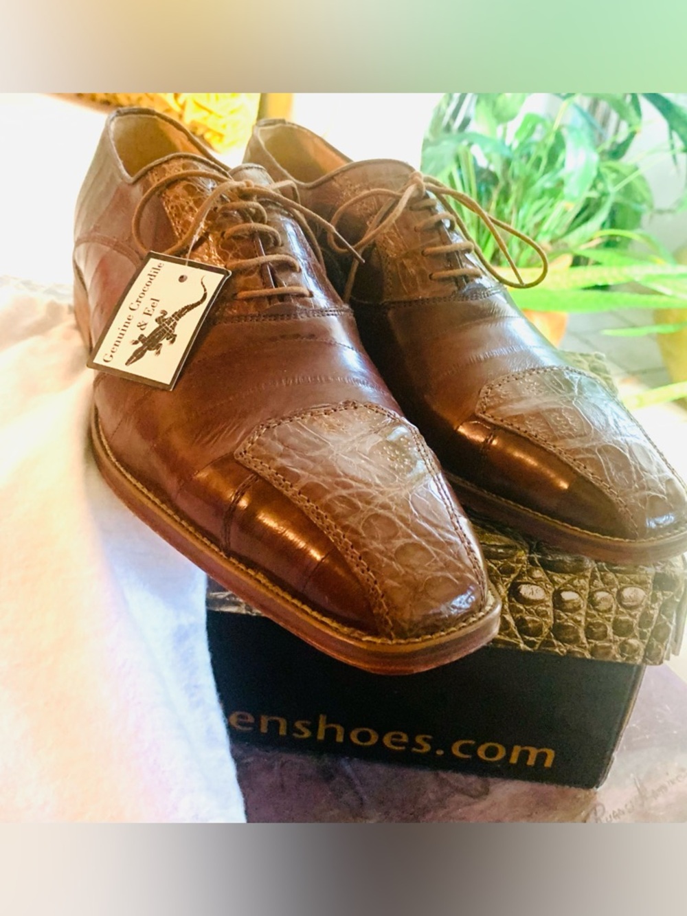 David Eden Bassett Men Shoes